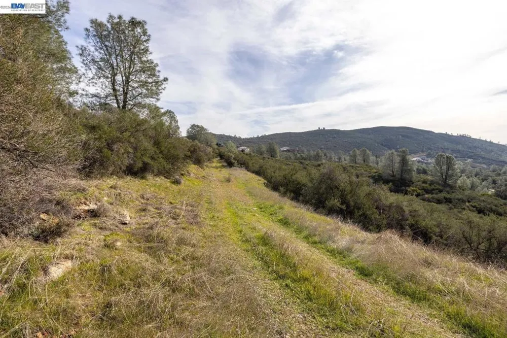 7850 Watermark Place El Dorado Hills, CA 95762