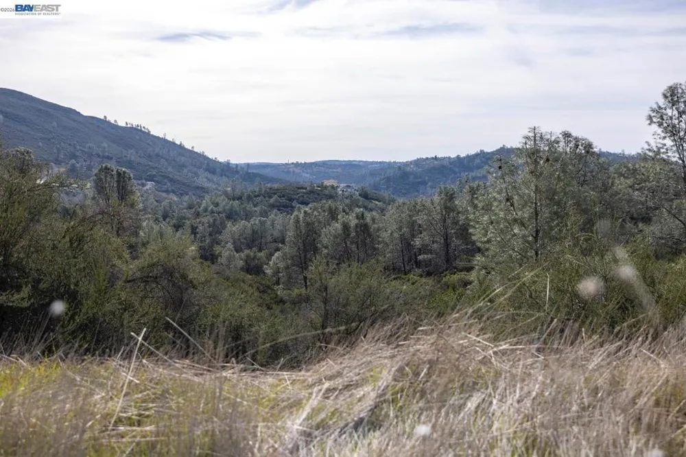 7850 Watermark Place El Dorado Hills, CA 95762