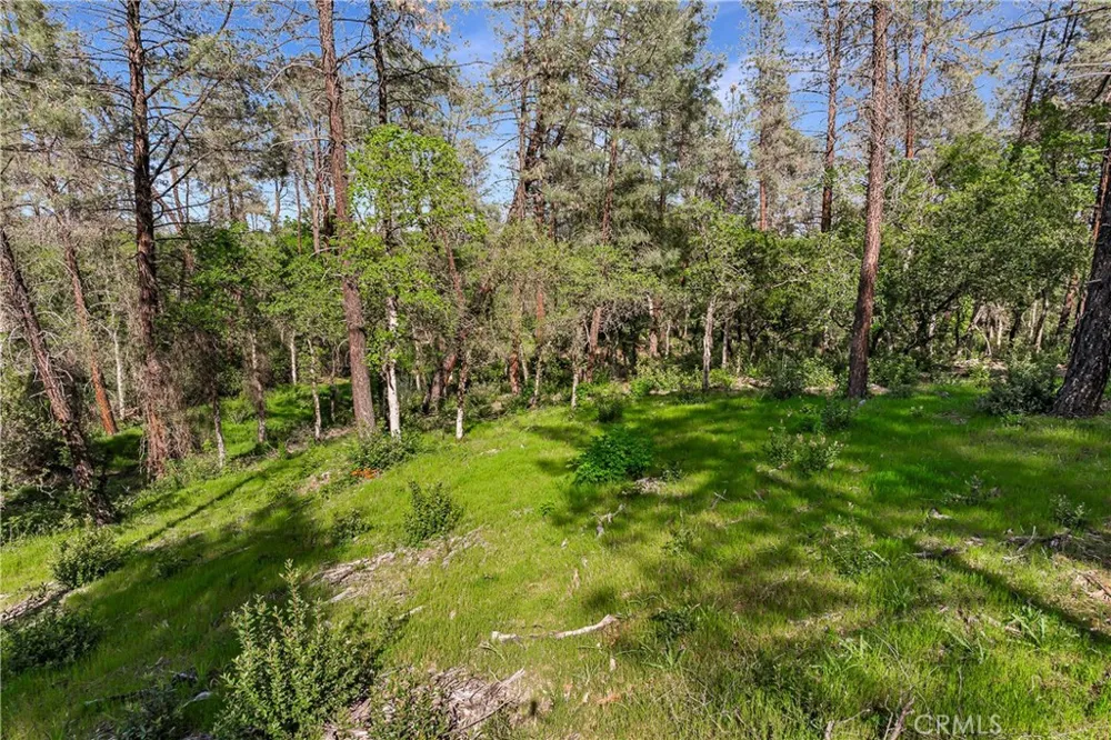 9200 Silver King Road Redding, CA 96001