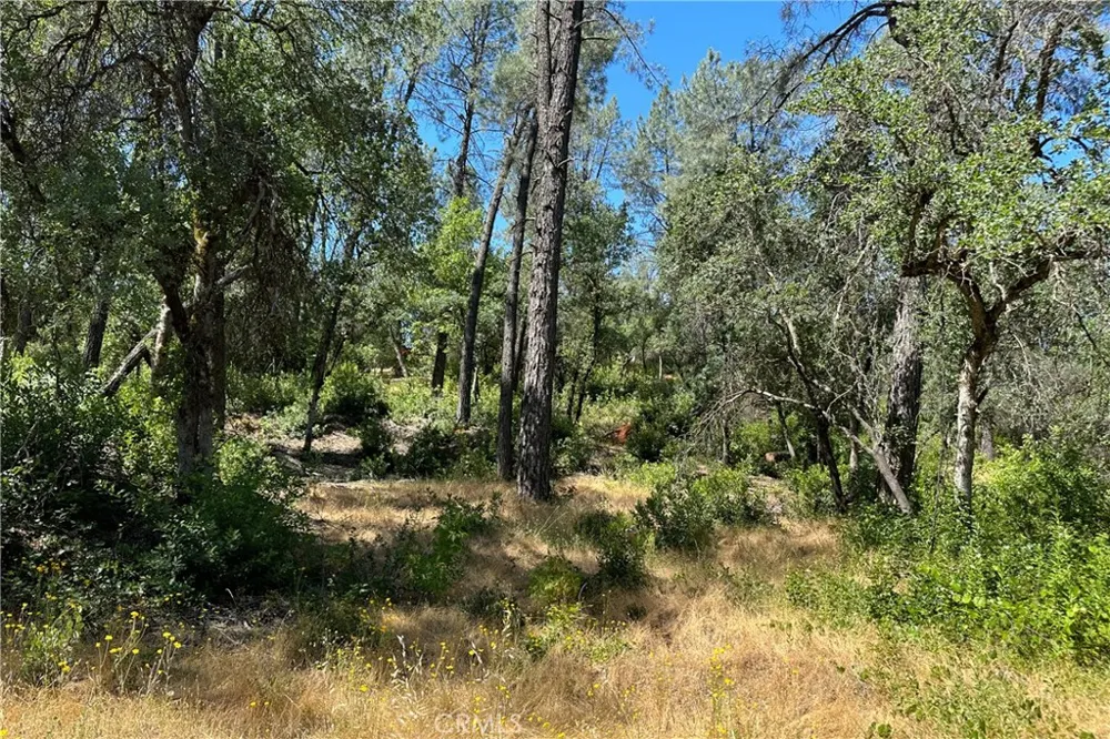 9200 Silver King Road Redding, CA 96001