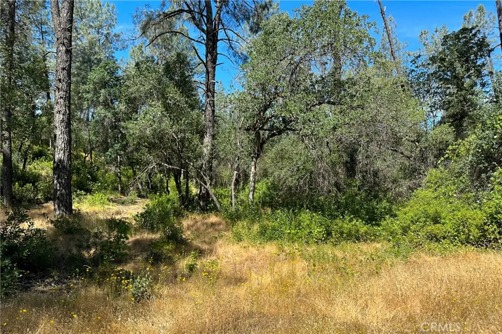 9200 Silver King Road Redding, CA 96001