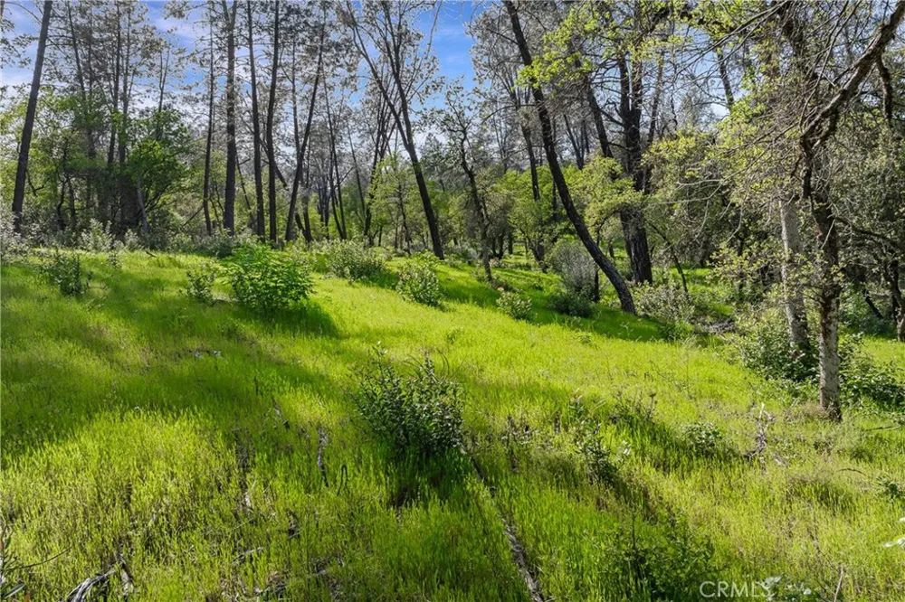 9200 Silver King Road Redding, CA 96001
