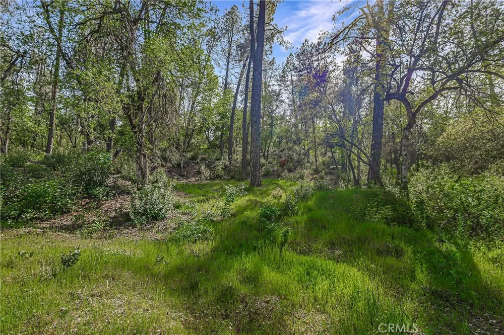 9200 Silver King Road Redding, CA 96001