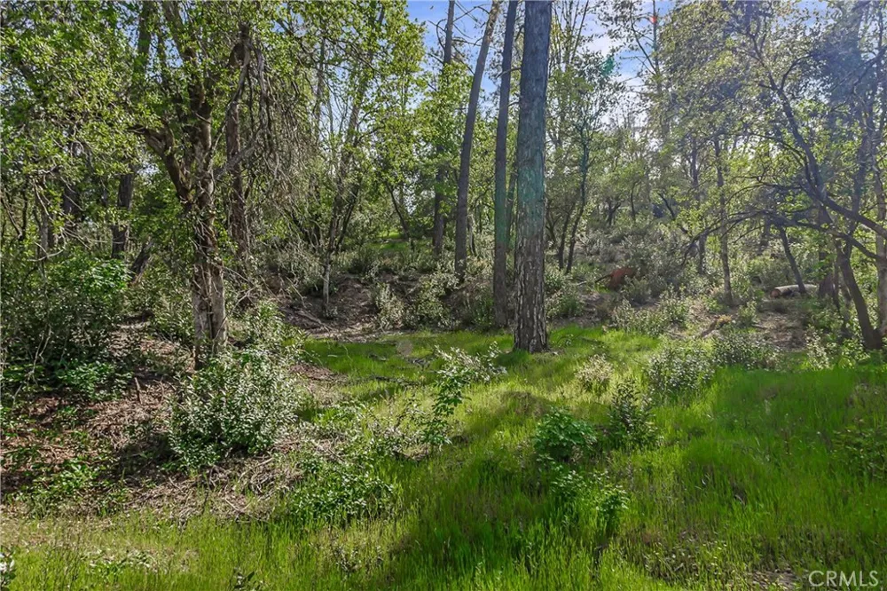 9200 Silver King Road Redding, CA 96001