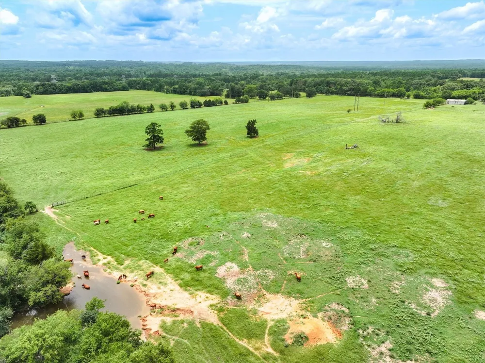 FM 855 Jacksonville, TX 75766