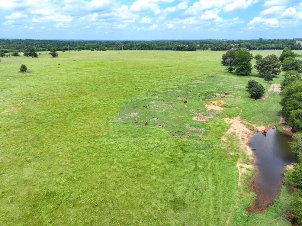 FM 855 Jacksonville, TX 75766
