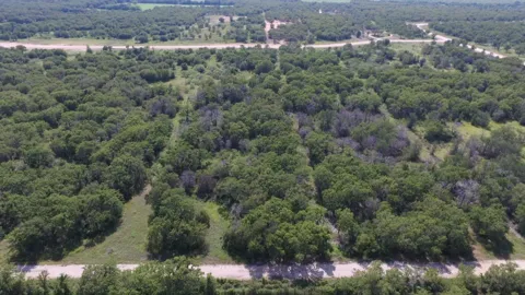 Paradise Oaks