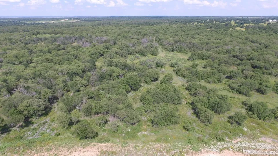 Paradise Oaks Perrin, TX 76486