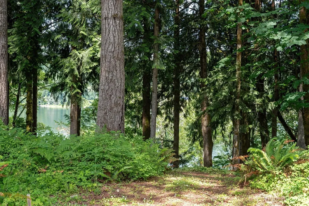 304 Winston Creek Road #B10L3 Mossyrock, WA 98564