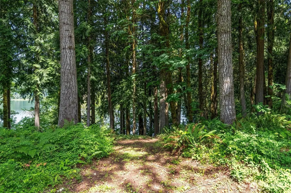 304 Winston Creek Road #B10L3 Mossyrock, WA 98564