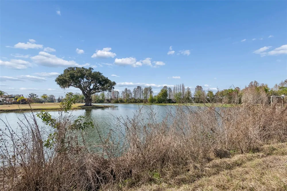10718 OSPREY LANDING WAY Thonotosassa, FL 33592