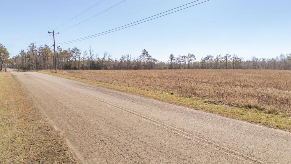 0 DR WILLIAMS RD Michie, TN 38357