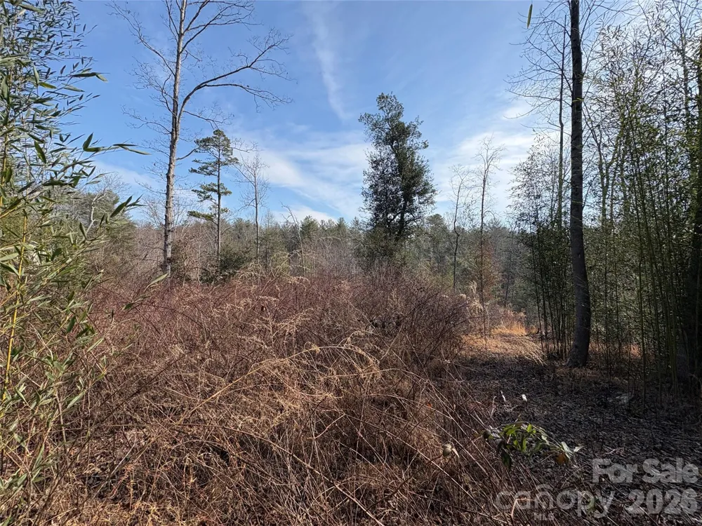 120 Shamrock Circle Hudson, NC 28638