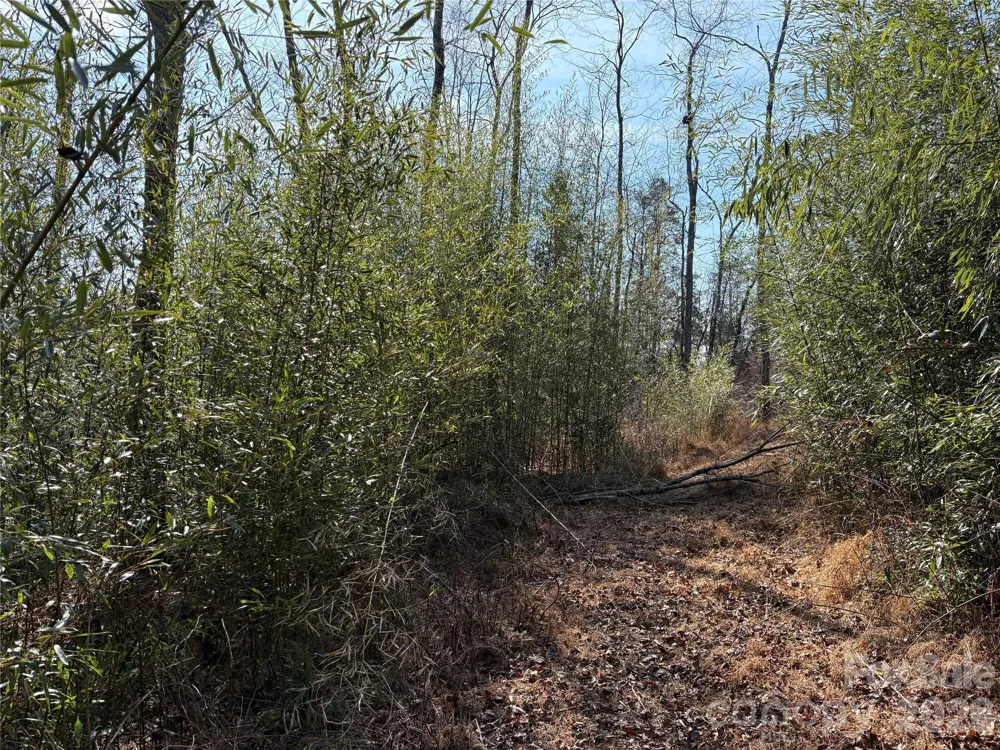 120 Shamrock Circle Hudson, NC 28638
