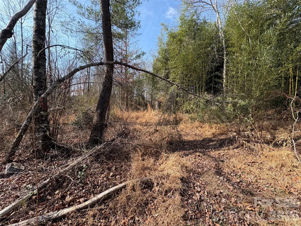 120 Shamrock Circle Hudson, NC 28638