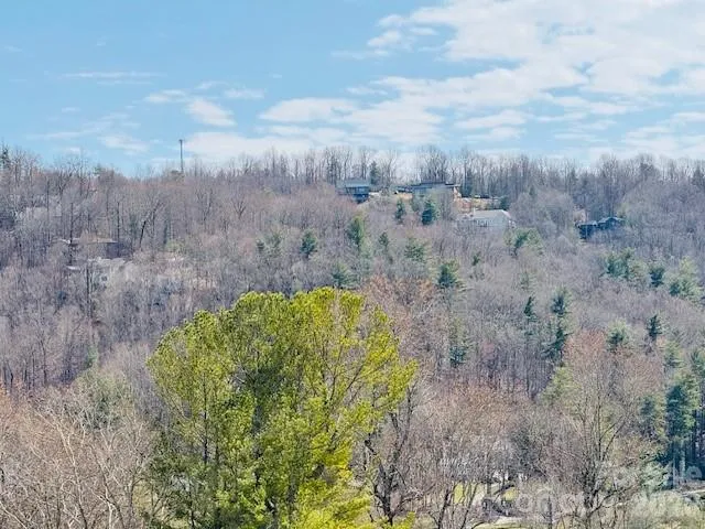 121 Burning Tree Lane #121 Flat Rock, NC 28731