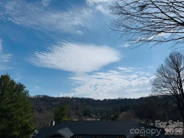 121 Burning Tree Lane #121 Flat Rock, NC 28731