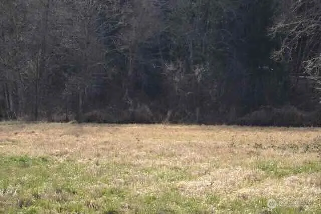 0 US Hwy. 12 Morton, WA 98356