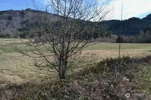 0 US Hwy. 12 Morton, WA 98356