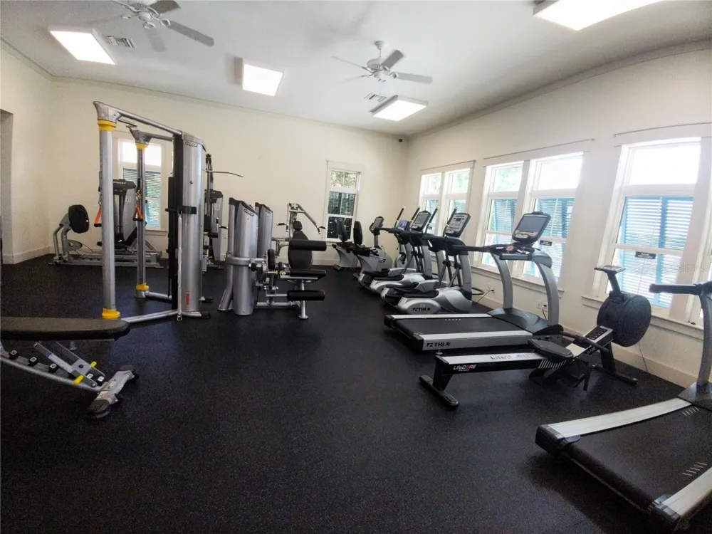 1505 SUNSET WIND LOOP Oldsmar, FL 34677