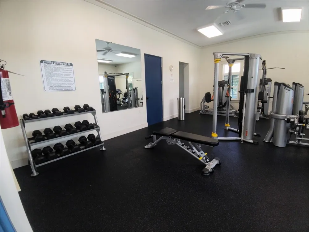 1505 SUNSET WIND LOOP Oldsmar, FL 34677