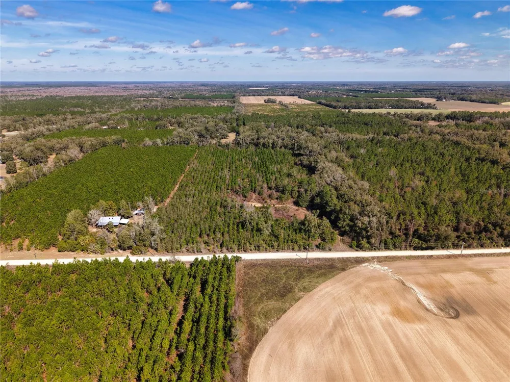 Lot 17 SW 80TH STREET Trenton, FL 32693