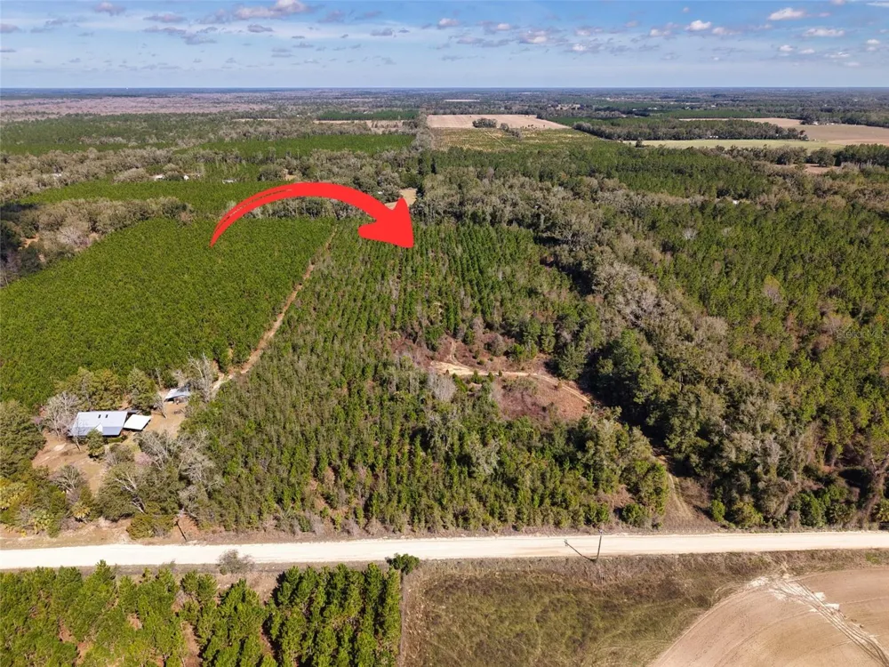 Lot 17 SW 80TH STREET Trenton, FL 32693