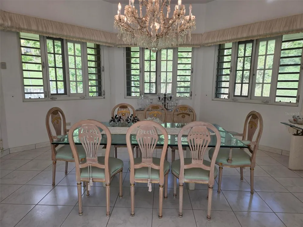 17 DEL RECREO Caguas, PR 00725