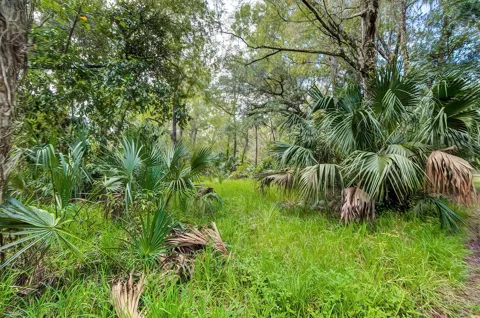 14902 DEAD RIVER ROAD