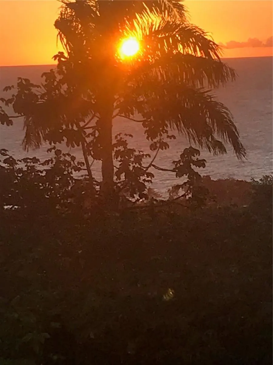 413 INT CAMINO MARTILLO BO PUNTAS Rincon, PR 00677