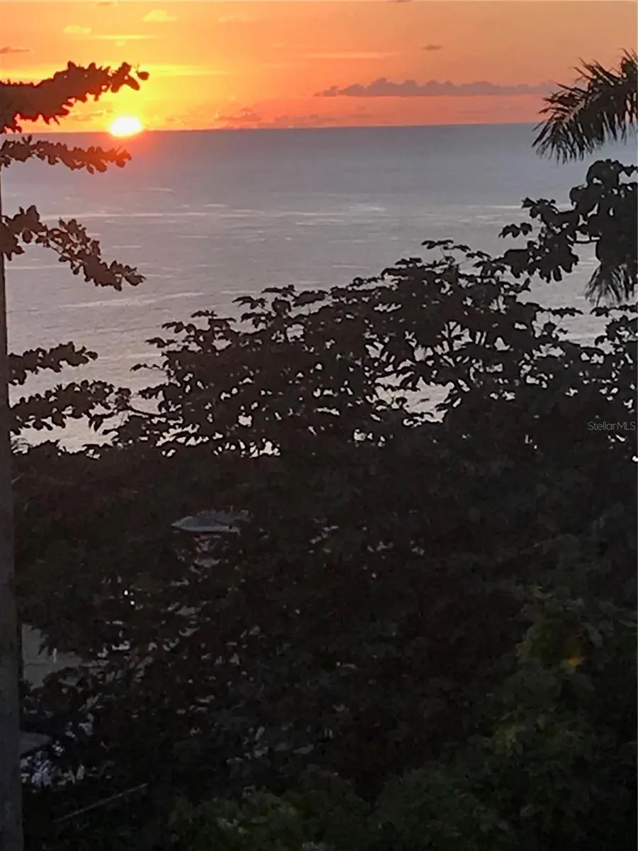 413 INT CAMINO MARTILLO BO PUNTAS Rincon, PR 00677