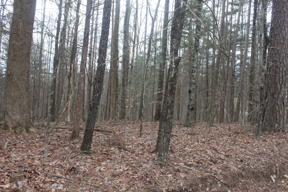 Mcgregor Lane McMinnville, TN 37110