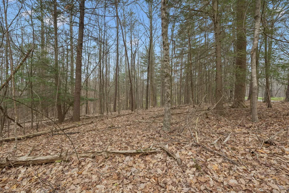 Mcgregor Lane McMinnville, TN 37110