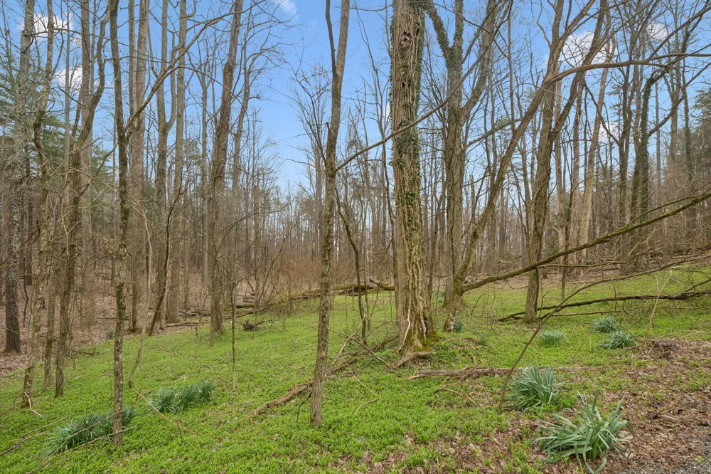Mcgregor Lane McMinnville, TN 37110