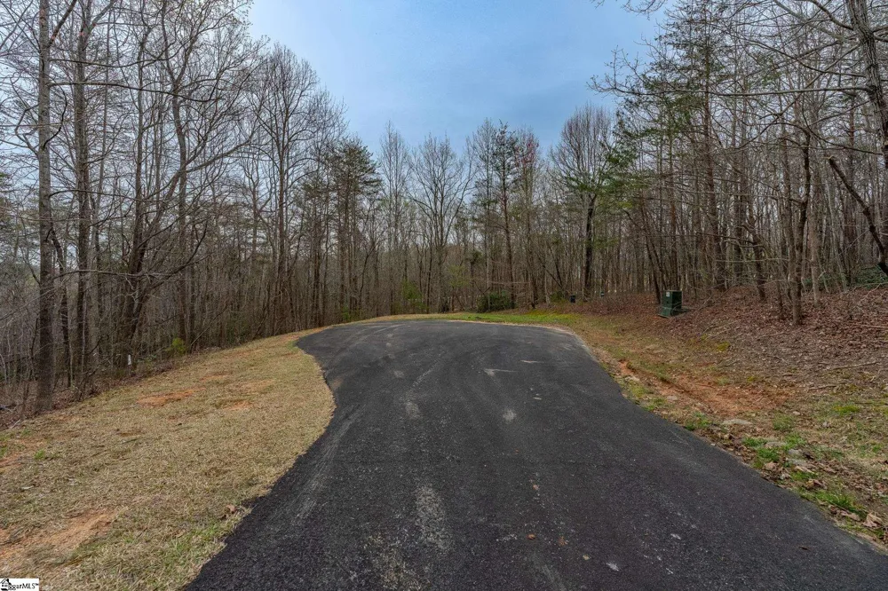 56 Angleblade Road Landrum, SC 29356