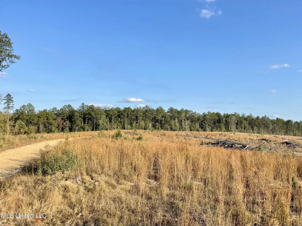 Underwood Ball Road Leakesville, MS 39451