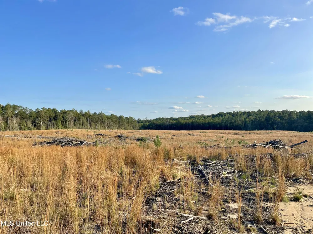 Underwood Ball Road Leakesville, MS 39451