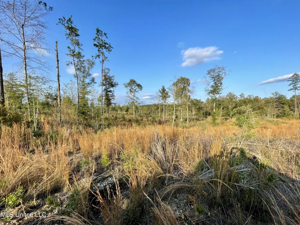 Underwood Ball Road Leakesville, MS 39451