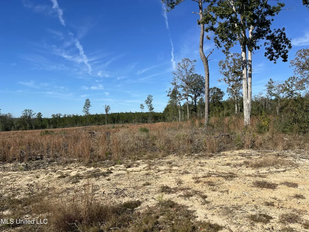 Underwood Ball Road Leakesville, MS 39451