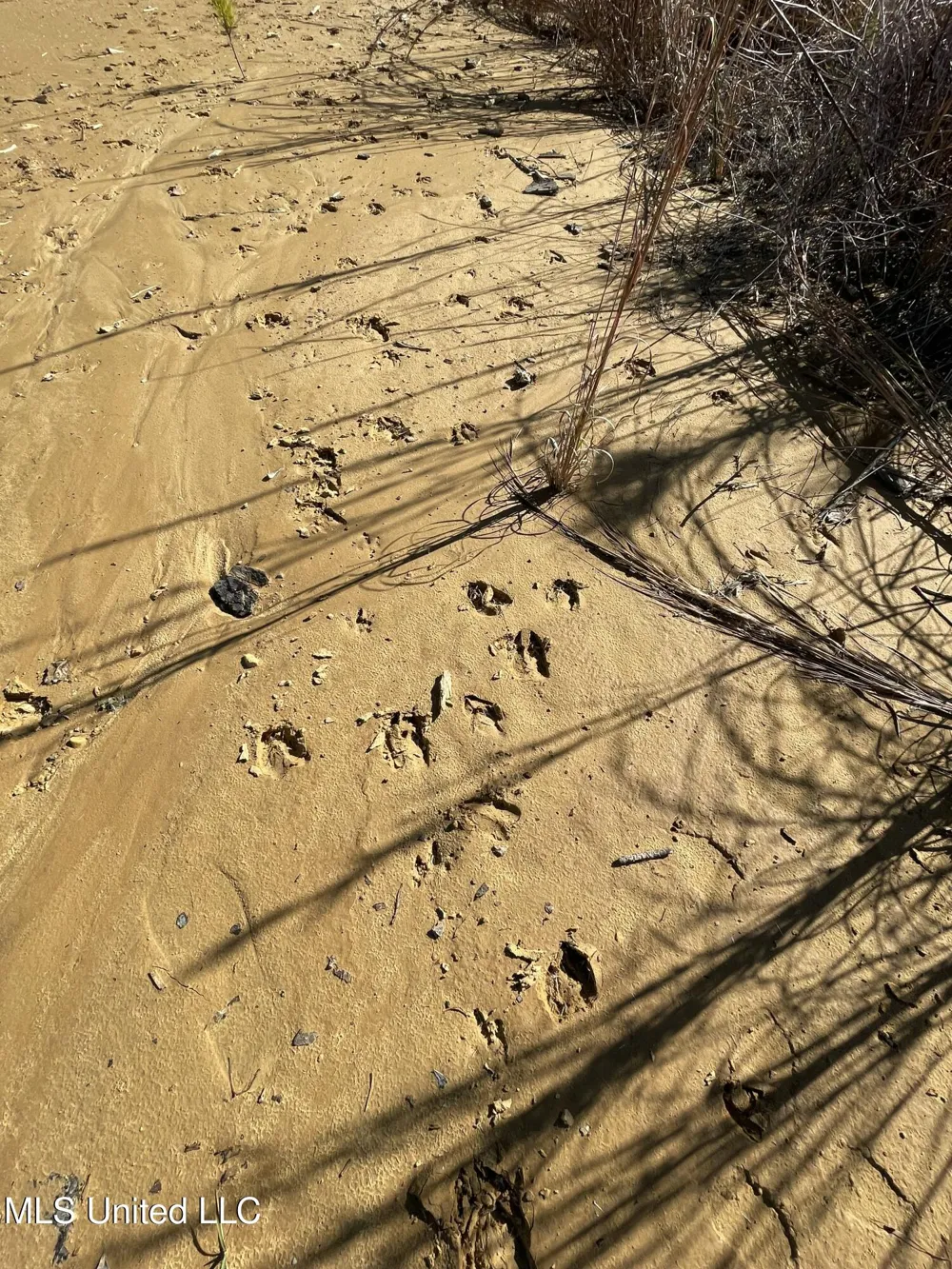 Underwood Ball Road Leakesville, MS 39451