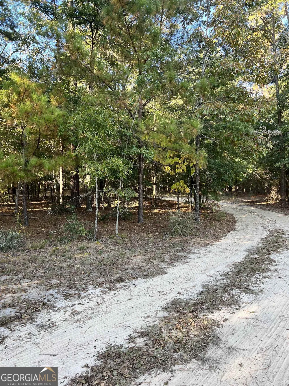 2382 Gallimore Mill RD Jeffersonville, GA 31044