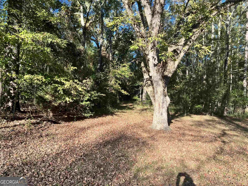 2382 Gallimore Mill RD Jeffersonville, GA 31044