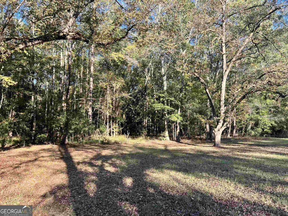 2382 Gallimore Mill RD Jeffersonville, GA 31044