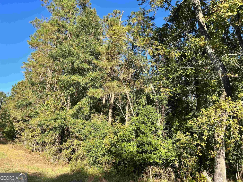 2382 Gallimore Mill RD Jeffersonville, GA 31044