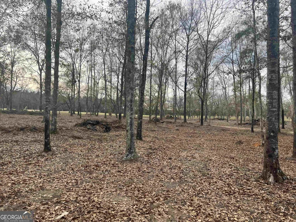 2382 Gallimore Mill RD Jeffersonville, GA 31044