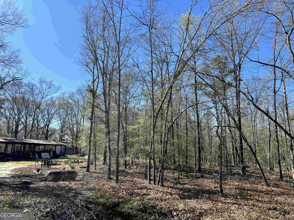 2382 Gallimore Mill RD Jeffersonville, GA 31044
