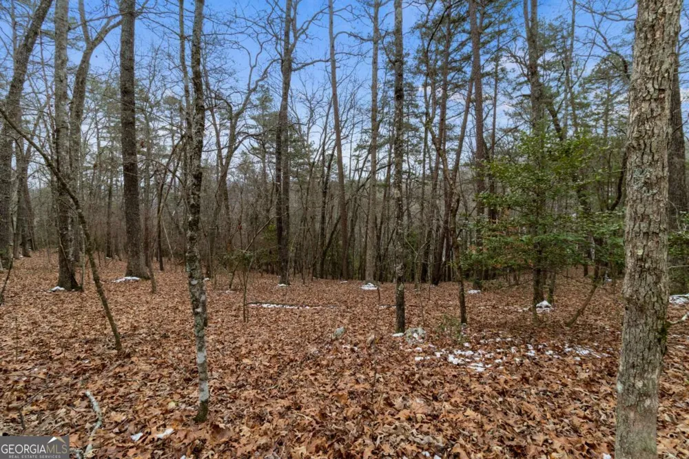 TR4 Curtis Ridge RD Blue Ridge, GA 30513