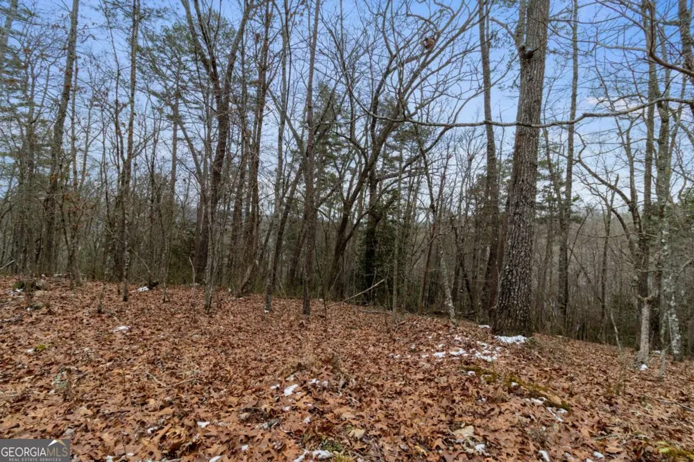 TR4 Curtis Ridge RD Blue Ridge, GA 30513