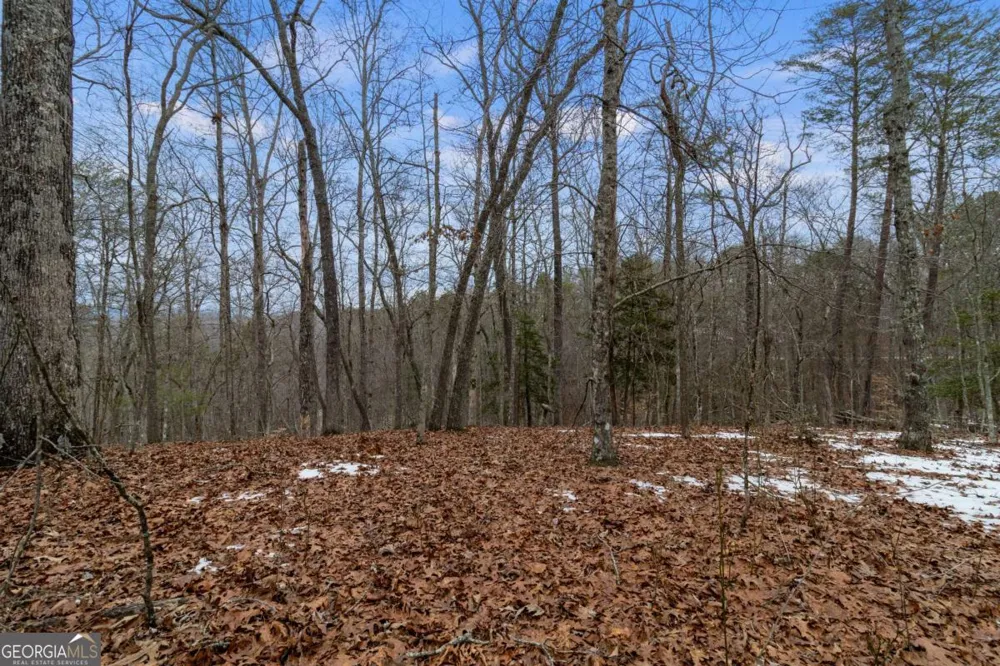 TR4 Curtis Ridge RD Blue Ridge, GA 30513