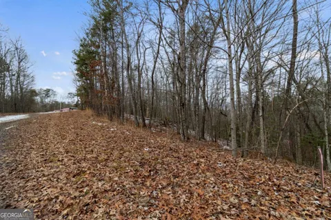 TR4 Curtis Ridge RD